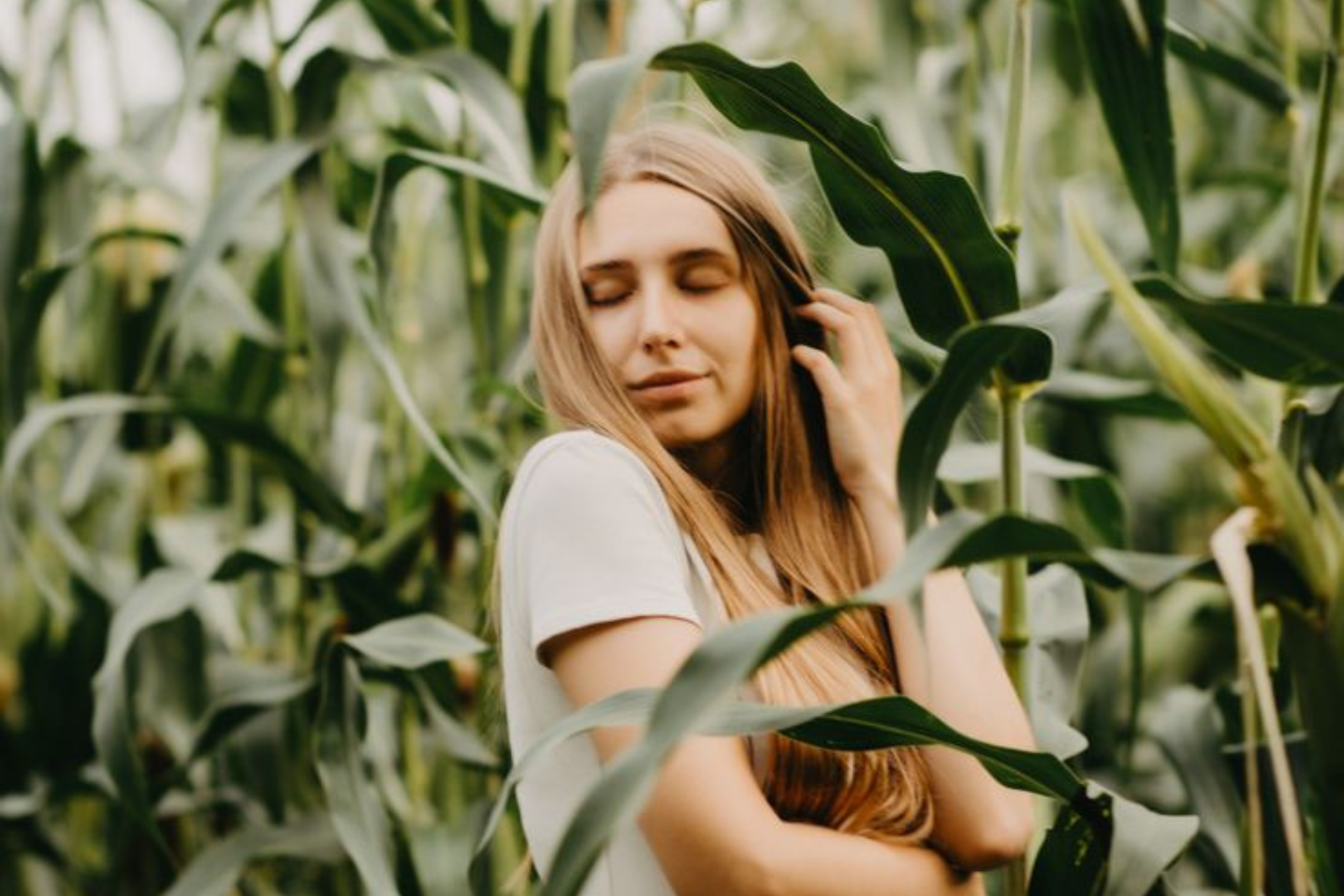 Taurus Season 2023: Rooted in Strength and Sensuality