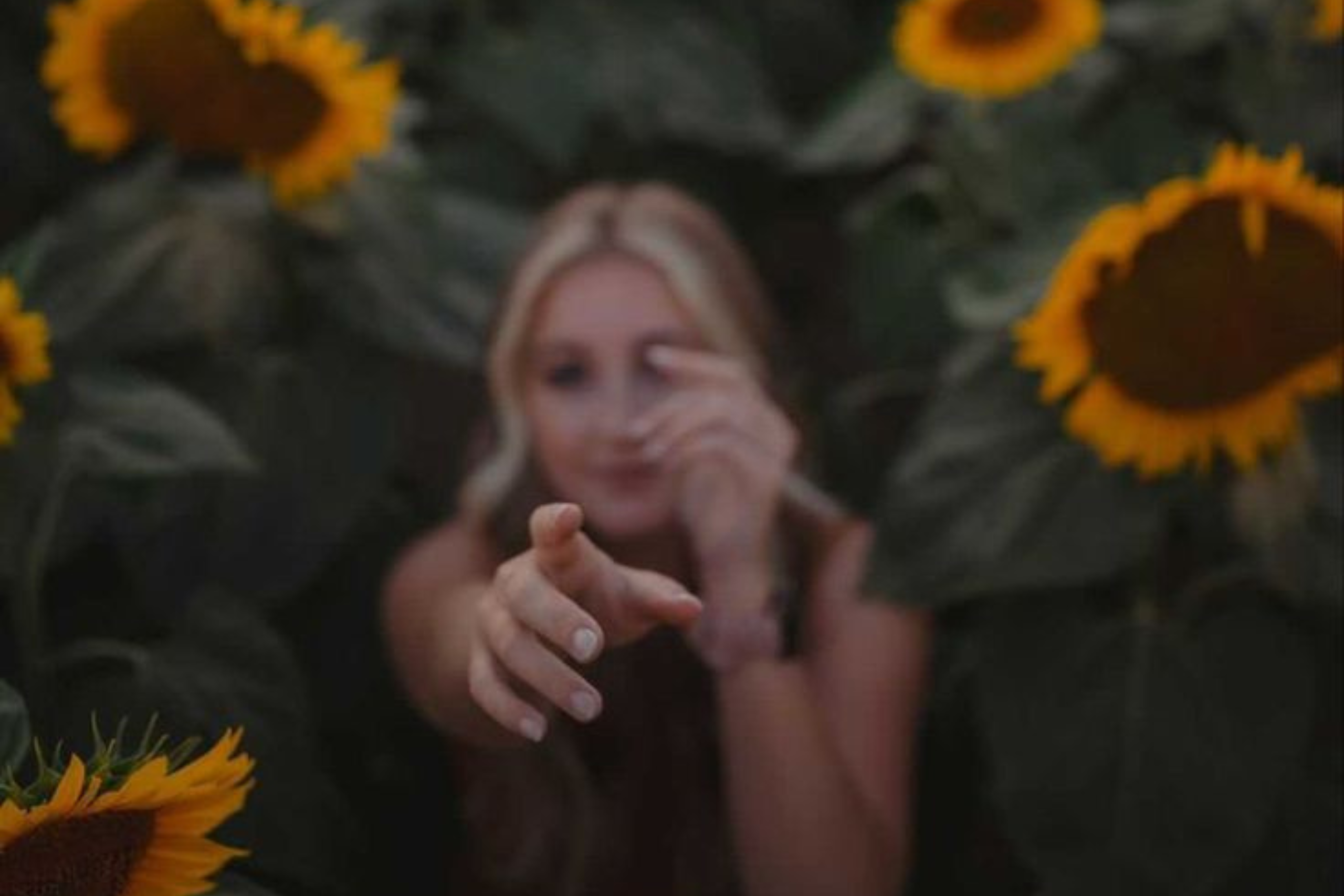 Leo Season 2023 It’s Coming: Discover Your Inner Leader